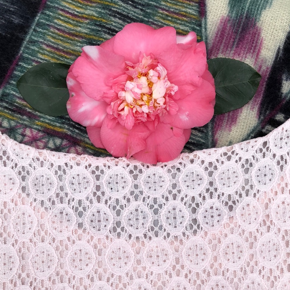 πΊ Banana Republic Pink Lace/Lined Tank Top Sz. S! - Picture 4 of 8